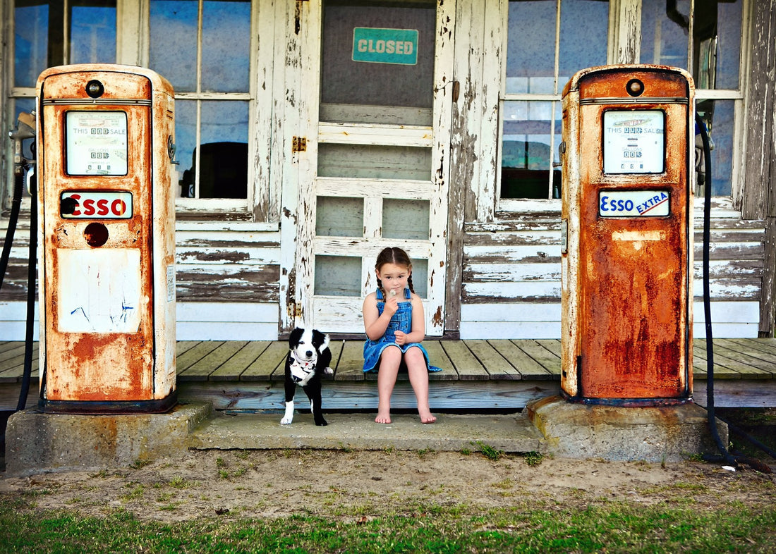 Weekly Top Ten - Life with Pets - ShopJeanPhotography.com