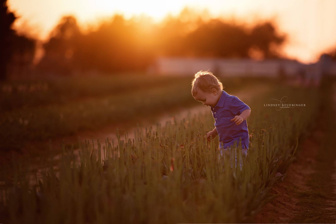 Weekly Top Ten - Sunflare - ShopJeanPhotography.com