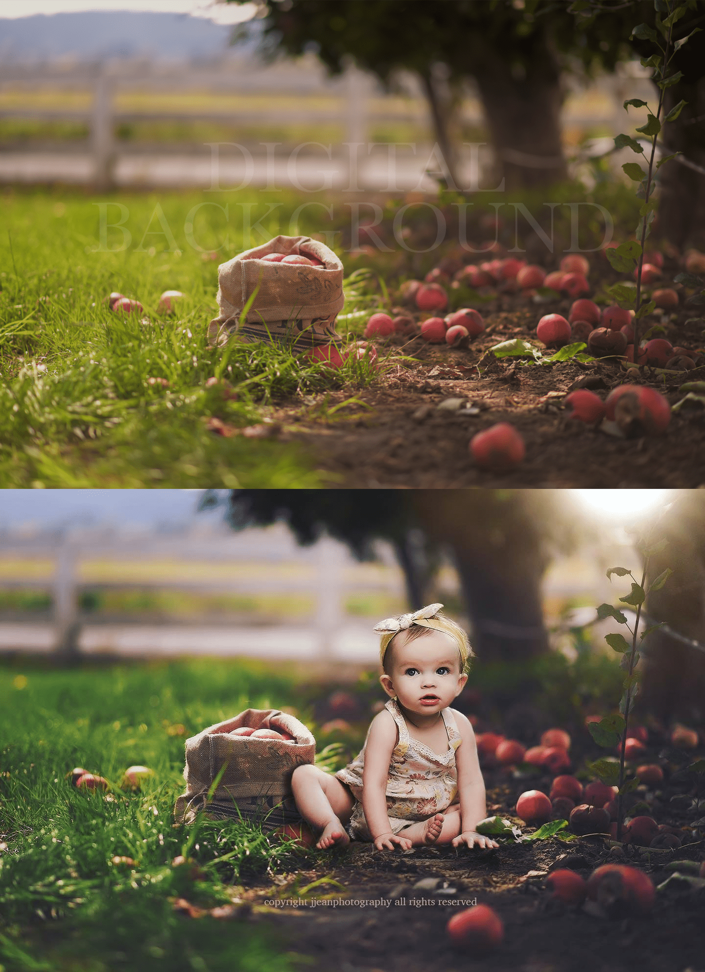 Apple Orchard Digital Background - ShopJeanPhotography.com